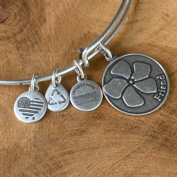 ALEX & ANI Friend Bracelet Energy Charm Bangle Set, Rafaelian Gold and Silver - Picture 8 of 9